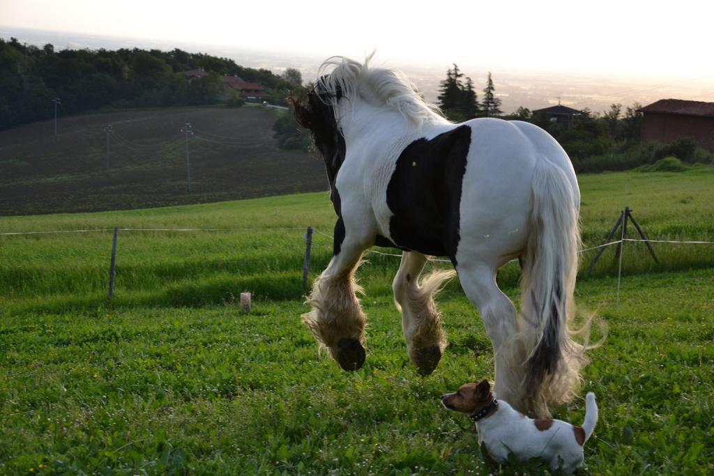 B&B Ca Bianca Dell'Abbadessa San Lazzaro di Savena Kültér fotó