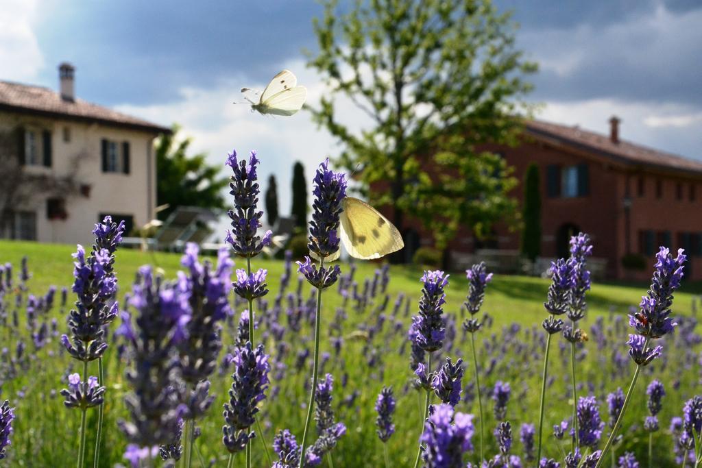 B&B Ca Bianca Dell'Abbadessa San Lazzaro di Savena Kültér fotó