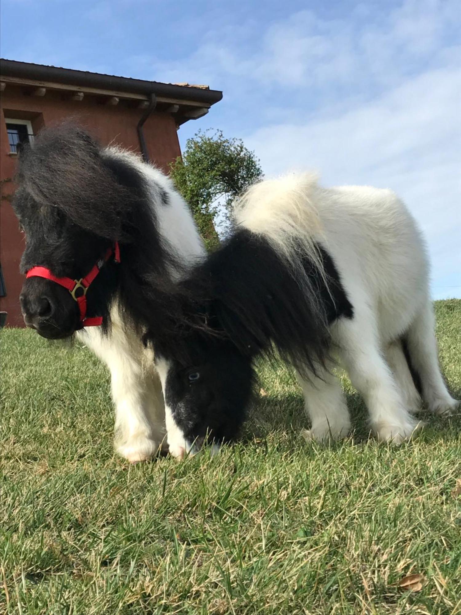 B&B Ca Bianca Dell'Abbadessa San Lazzaro di Savena Kültér fotó